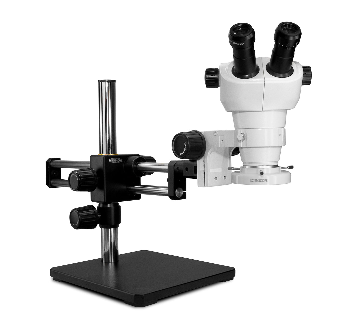 Scienscope NZ-PK5D-E1 NZ Series Binocular Microscope