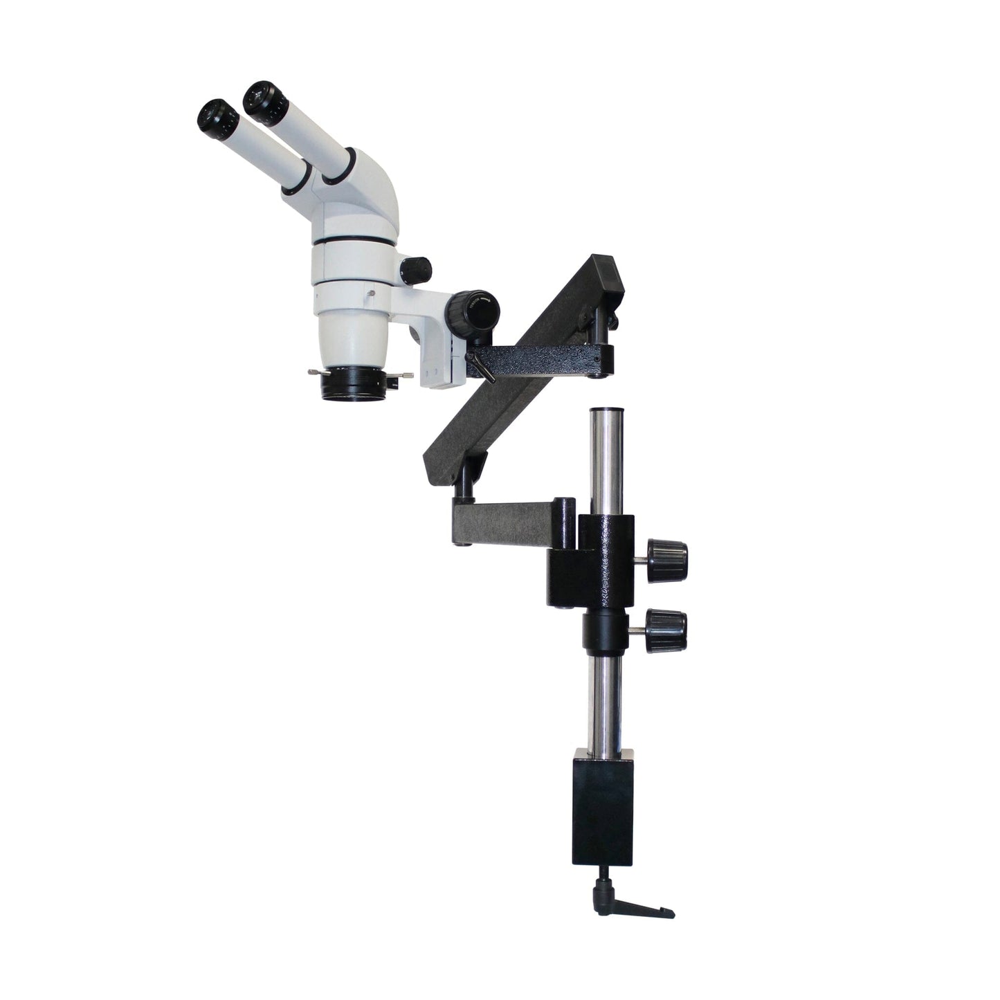 Scienscope CMO-PK3-R3E E-Series Binocular Microscope