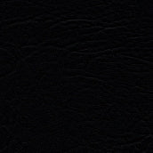 Black Vinyl